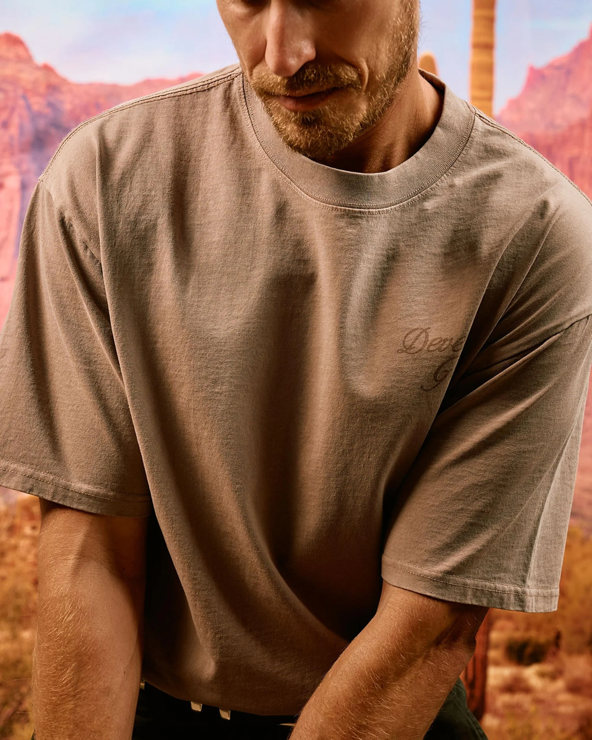 Faded Skull Caddie Tee - Faded Mushroom - Image 3